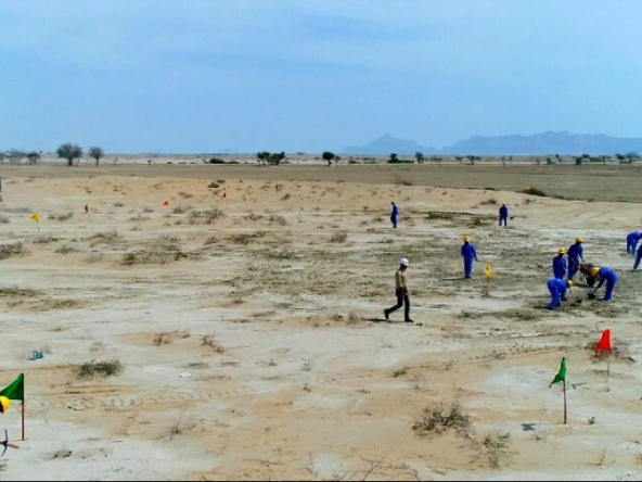 Binqasim City Resdential