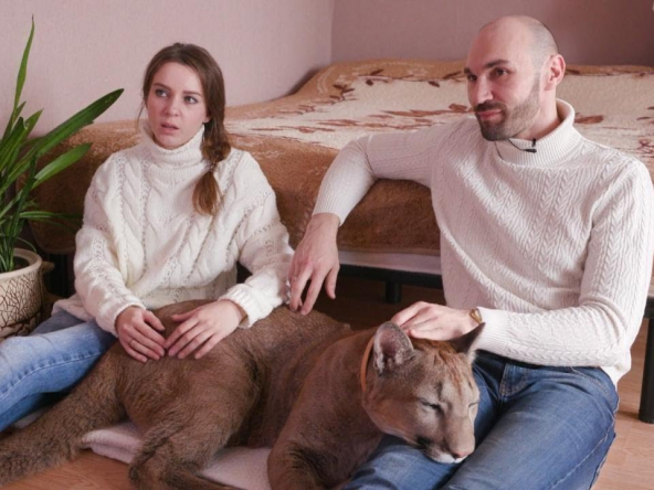 pet friendly homes for rent